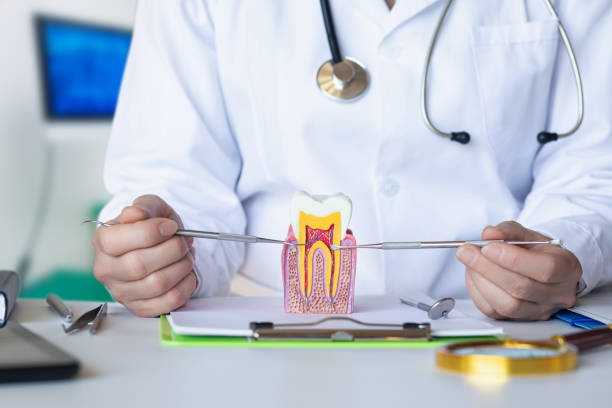 Best Emergency Treatment for Toothache in Douglas, MI